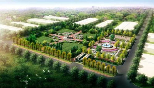 武城農(nóng)業(yè)園林景觀設(shè)計 融合自然、生產(chǎn)與美學(xué)的鄉(xiāng)村振興新實踐